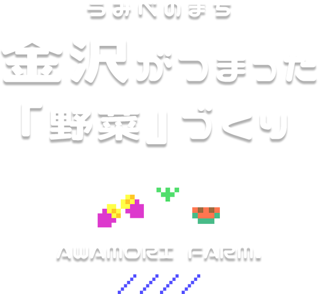 金沢がつまった 「野菜」づくり